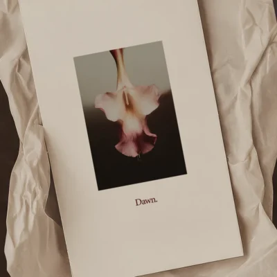 Minimalist Digital Backdrops for social media