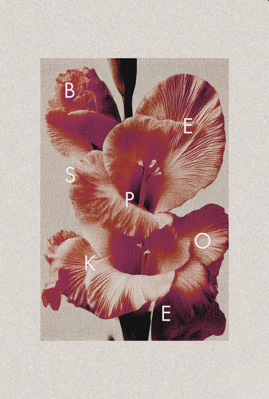 Grainy editorial floral poster with red-toned petals on textured paper and scattered letters spelling “BESPOKE.”