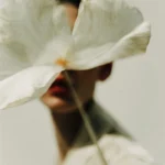 Quiet Luxury Collection Vol. 3 . 30 Stock Images