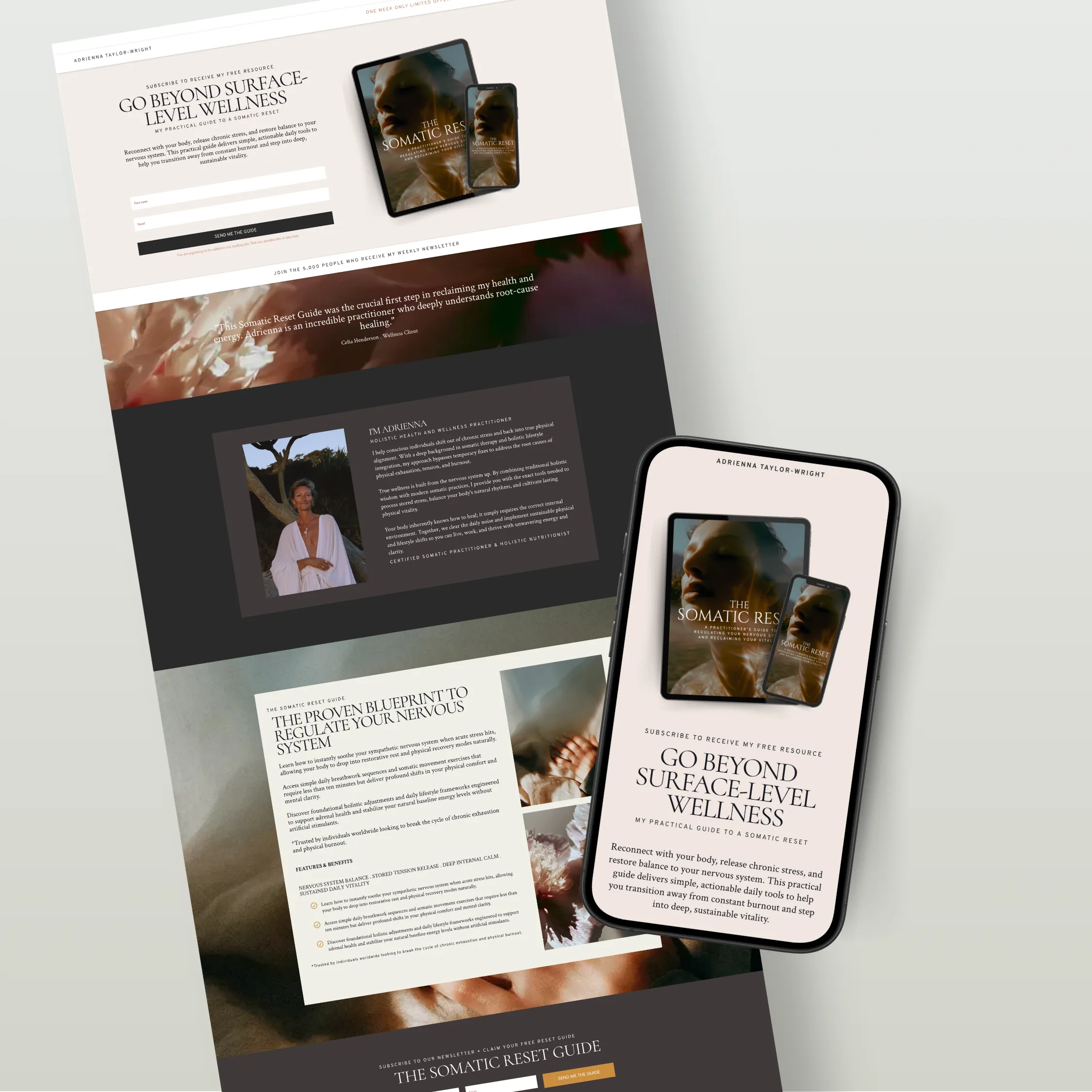6 Step Sales Funnel. Wellness Edition. - Image 4