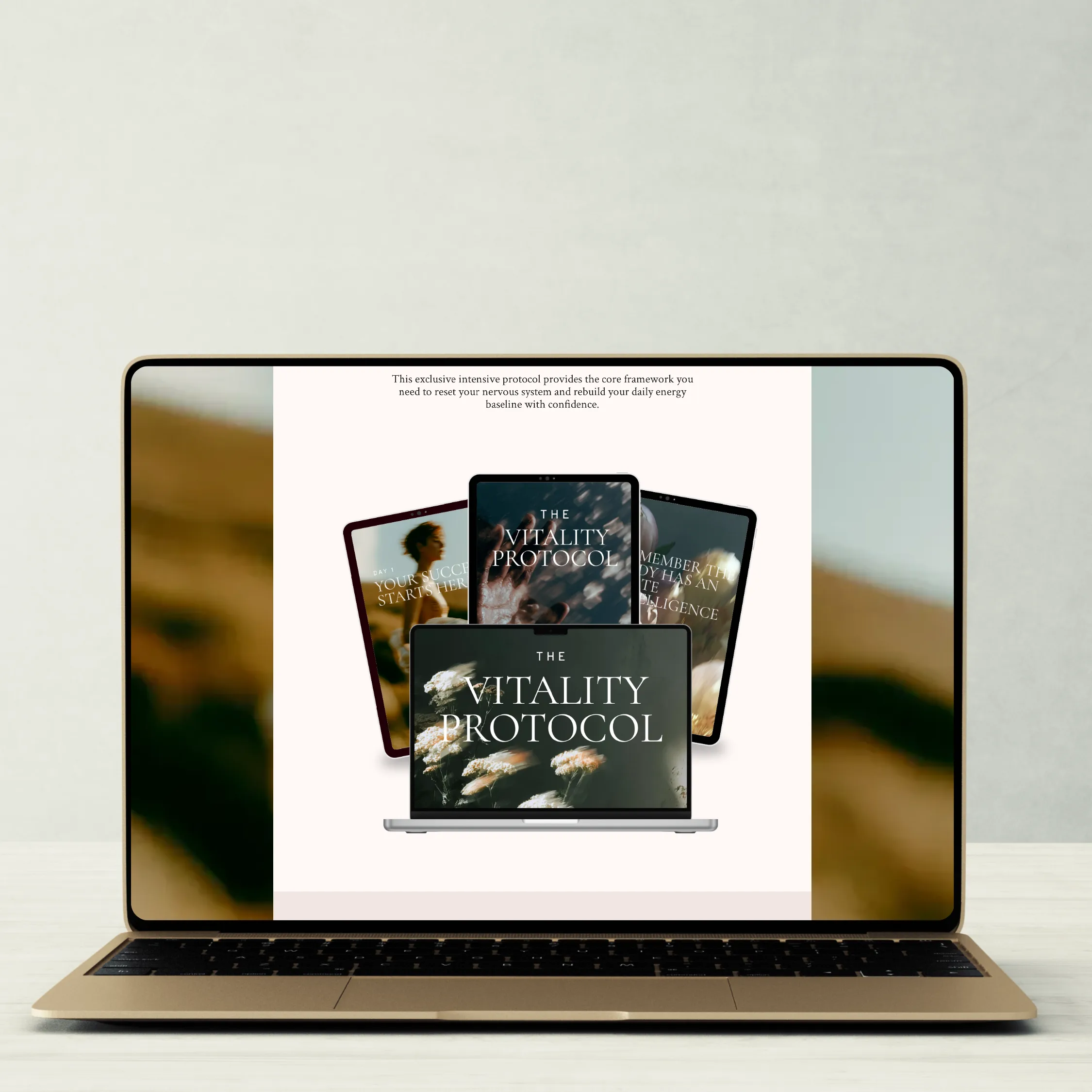 wellness sales funnel template