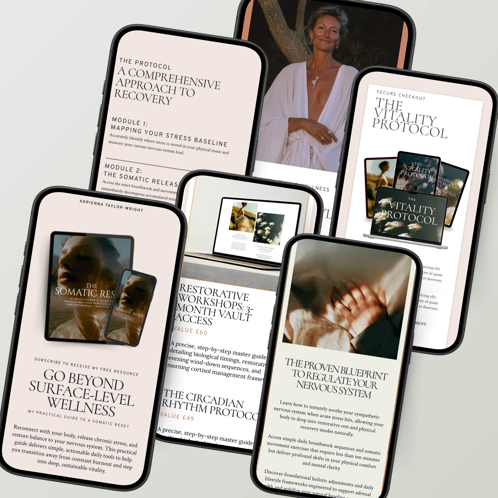 The Foundation System. Wellness Edition - Image 2